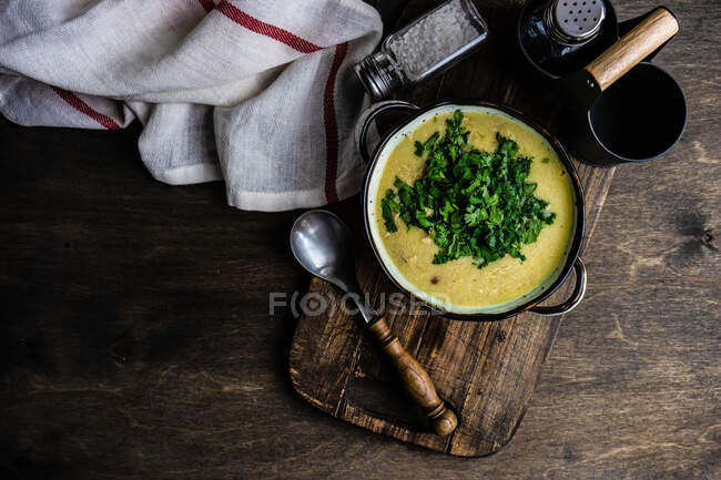 Традиционный грузинский куриный суп со свежим кориандром — стоковое фото