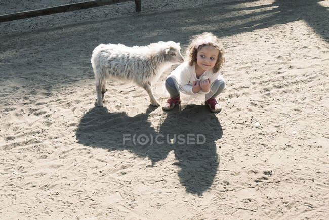 Ragazza sorridente accovacciata accanto a un agnello in una fattoria, Italia — Foto stock