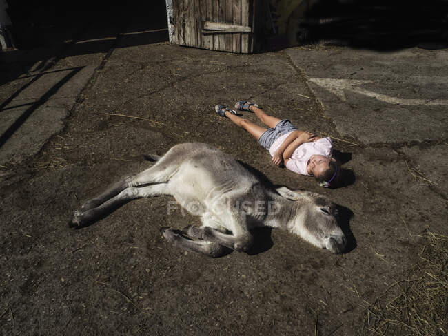 Mädchen liegt auf dem Boden neben einem schlafenden Esel, Ungarn — Stockfoto