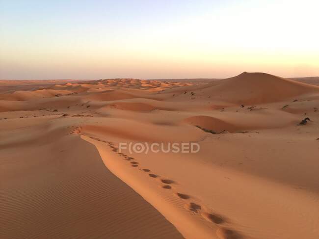 Huellas en la cresta de una duna de arena en el desierto, Omán - foto de stock