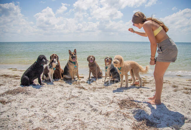 Frau steht am Strand und trainiert eine Gruppe Hunde, Florida, USA — Stockfoto
