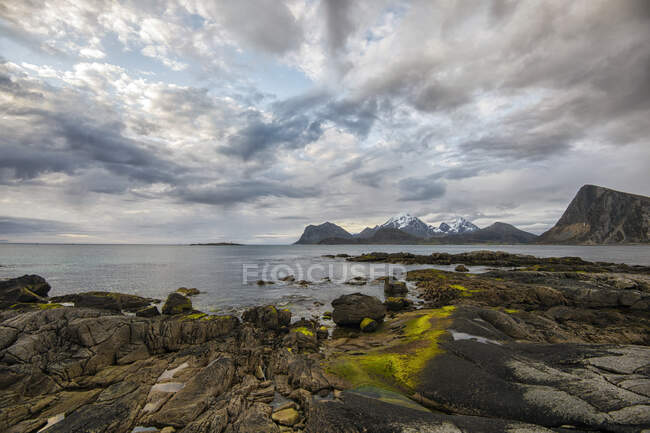 Скелястий прибережний пейзаж, Лофотен, Нордланд, Норвегія. — стокове фото