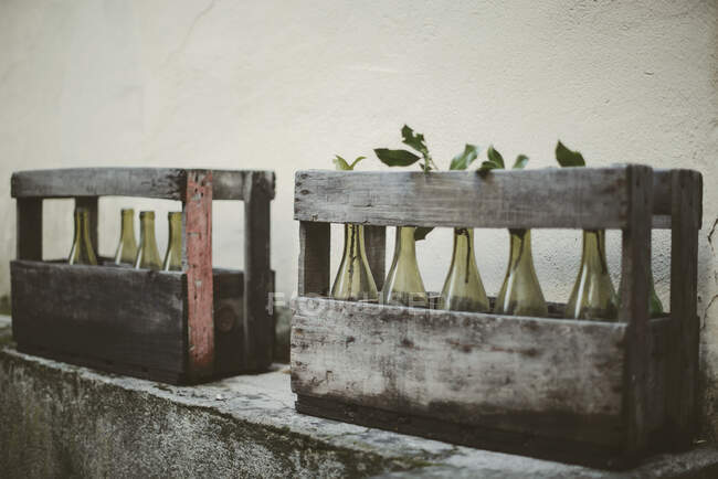 Bottiglie di vino vuote in casse di legno — Foto stock