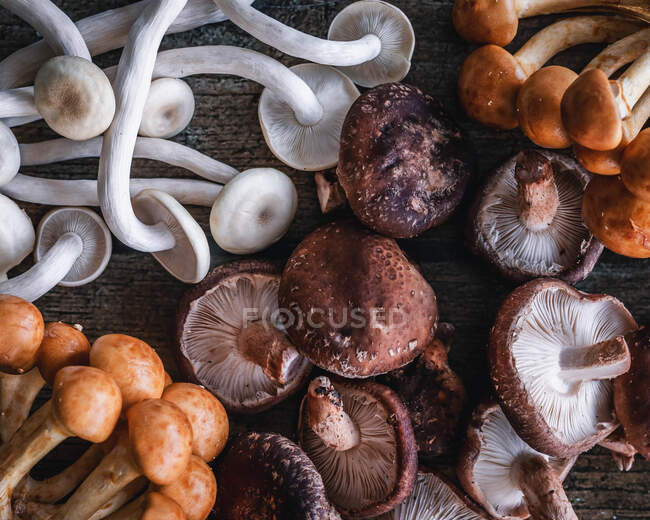 Overhead view of mixed wild mushrooms on a wooden table — Stock Photo