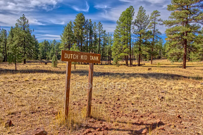 Dutch Kid Tank Sign in the Kaibab National Forest, Arizona, EUA — Fotografia de Stock