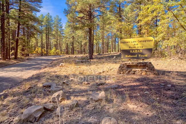 Ortseingangsschild Dogtown Lake bei Williams, Kabib National Forest, Arizona, USA — Stockfoto