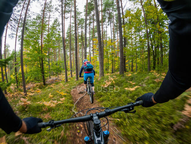 Persönliche Sicht einer Mountainbikerin im Herbstwald, Klagenfurt, Kärnten, Österreich — Stockfoto