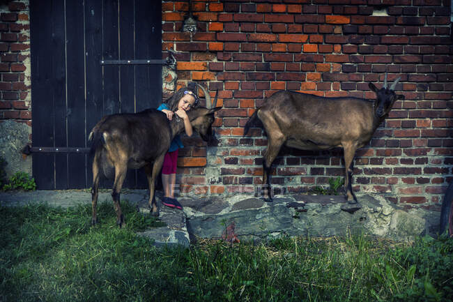 Chica de pie junto a un edificio abrazando a una cabra, Polonia - foto de stock
