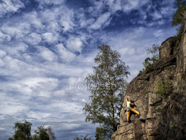 Vista trasera de una mujer escalando en roca, Polonia - foto de stock