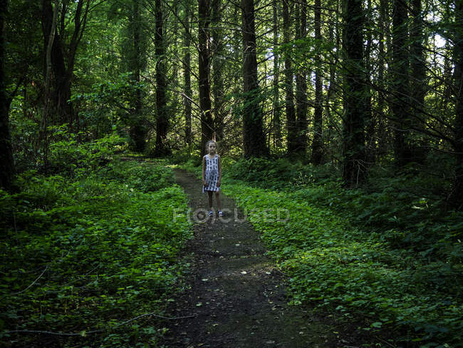 Fille marchant dans la forêt en été, Bialowieza, Podlasie, Pologne — Photo de stock