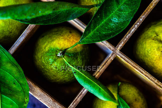 Свежие органические мандариновые фрукты в коробке на деревенском фоне — стоковое фото