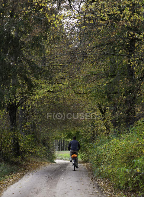 Homem pedalando ao longo de uma estrada rural, Lituânia — Fotografia de Stock