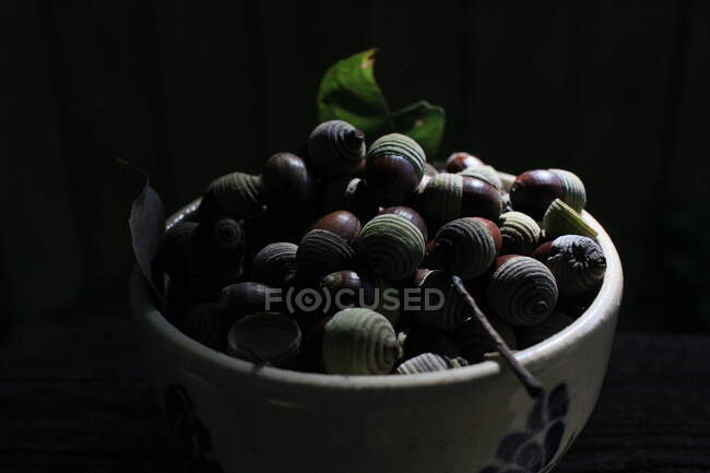 Close-up of a bowl of acorns — Stock Photo