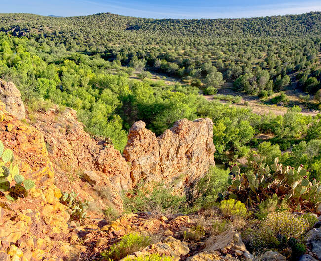 Una stretta lastra verticale di roccia lungo il fiume Verde ad est della confluenza del Canyon Infernale chiamata Devil's Point. Situato nella Prescott National Forest a est di Paulden Arizona. — Foto stock