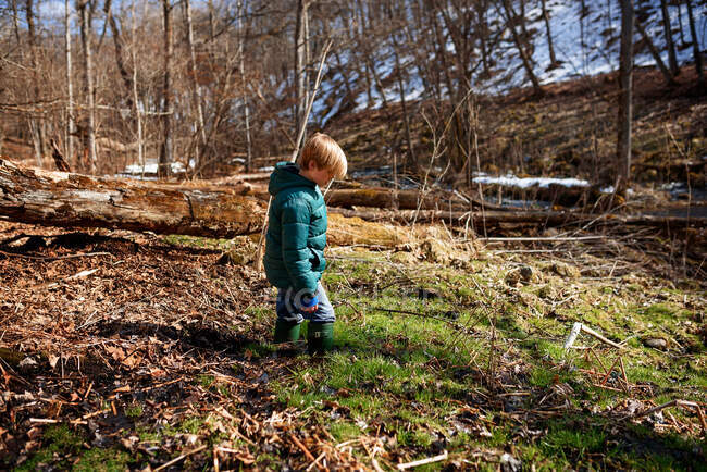 Мальчик, идущий через заросший водой лес ранней весной, США — стоковое фото