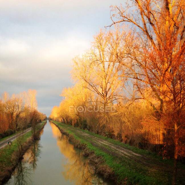 Treelined canal at sunrise, France — Stock Photo