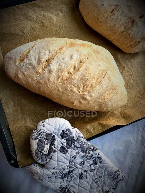 Dos panes recién horneados en una bandeja para hornear - foto de stock