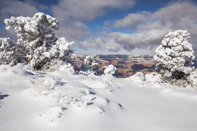 Национальный парк Гранд-Каньон зимой, Аризона, США — стоковое фото