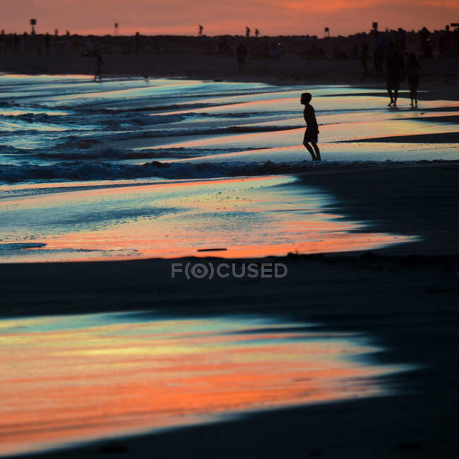Силует хлопчика на пляжі на заході сонця (США). — стокове фото