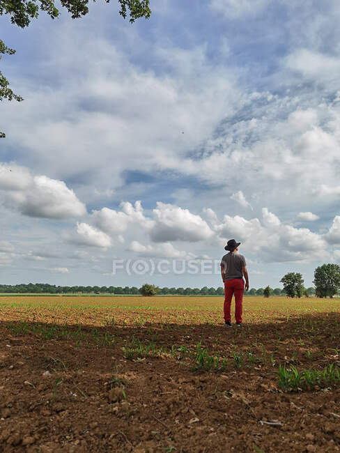Vista trasera de un hombre mirando al paisaje rural, Francia - foto de stock