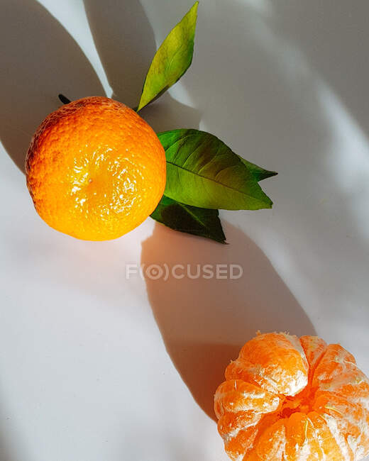 Два мандарина на столе — стоковое фото