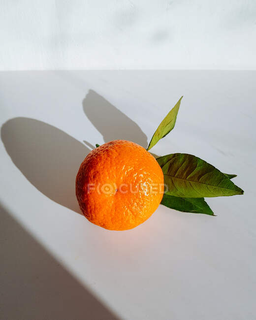 Mandarino su un tavolo — Foto stock