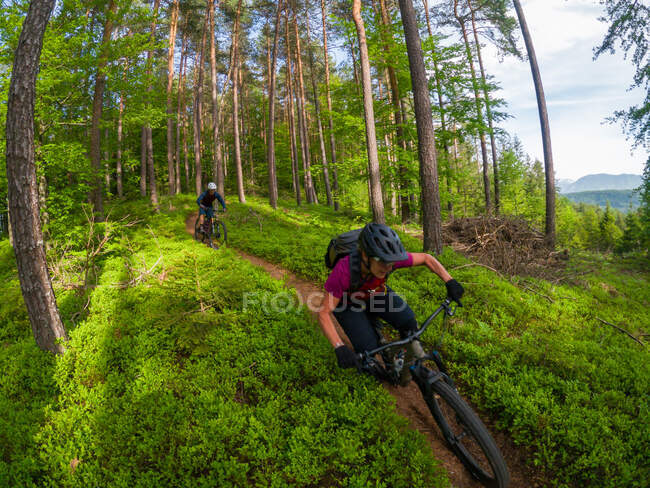 Bicicleta de montaña de hombre y mujer a través del bosque, Klagenfurt, Carintia, Austria - foto de stock