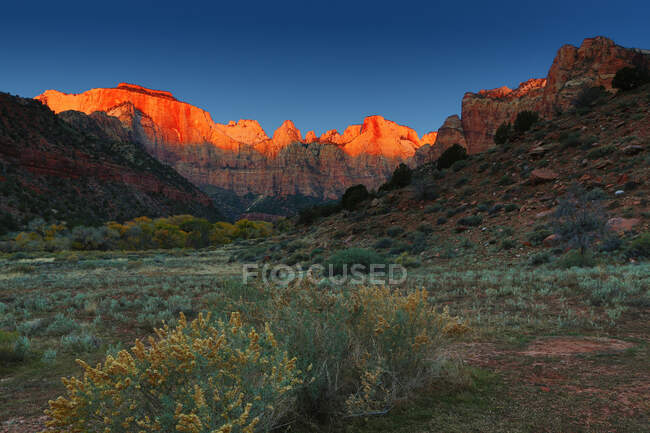 Alba sulle Torri della Vergine, Parco Nazionale di Zion, Utah, USA — Foto stock