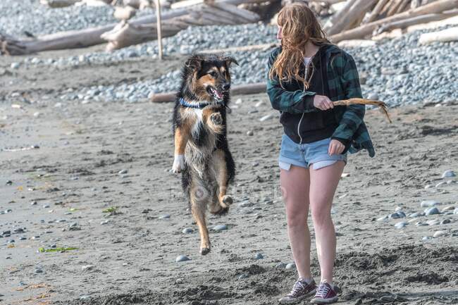 Mujer joven jugando con su perro en la playa, Mystic Beach, Columbia Británica, Canadá - foto de stock