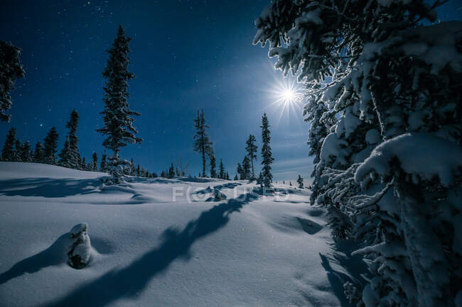 Verschneite Winternachtslandschaft, Yellowknife, Nordwest-Territorien, Kanada — Stockfoto