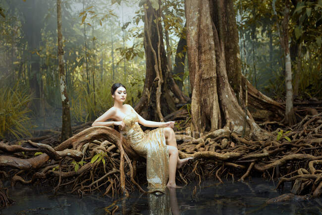 Retrato de una hermosa mujer sentada en el bosque, Tailandia - foto de stock