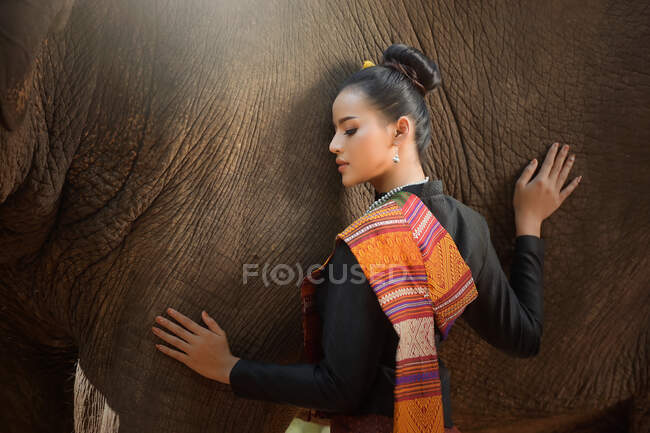 Beautiful woman stroking an elephant, Thailand — Stock Photo