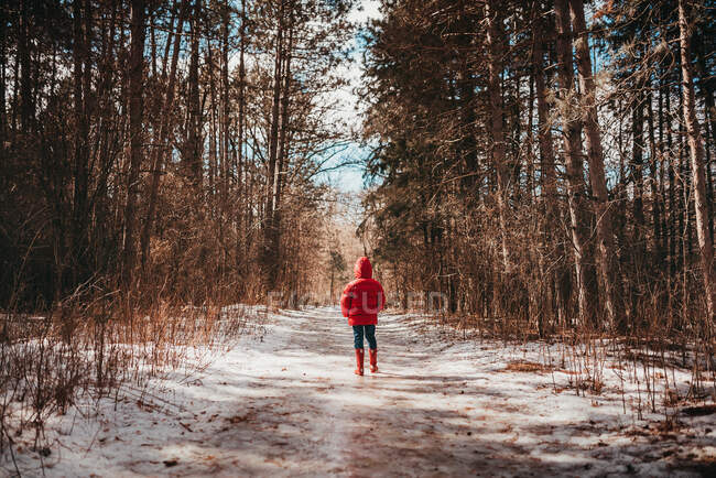 Boy standing on a frozen road through the forest, USA — Stock Photo