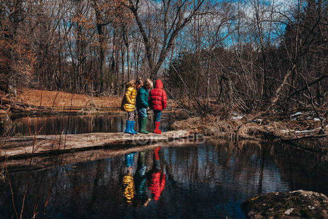 Tres niños de pie sobre un árbol caído en el río, EE.UU. - foto de stock