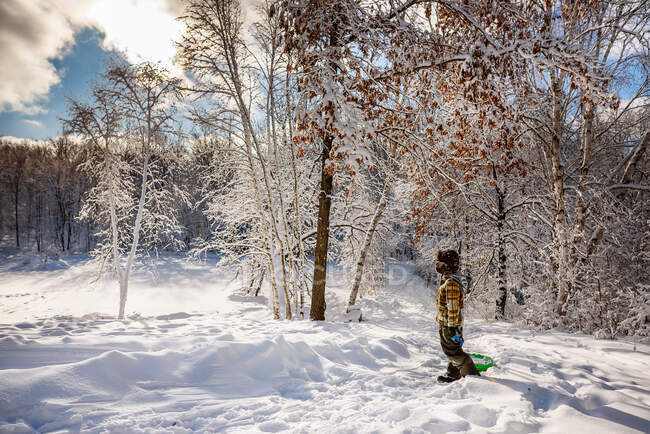 Junge zieht Schlitten durch den Schnee, USA — Stockfoto