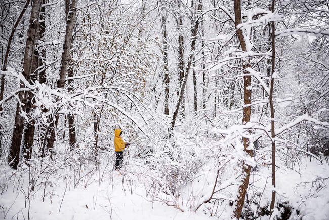 Ragazzo esplorare boschi nella neve, Stati Uniti d'America — Foto stock