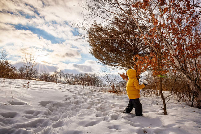 Ragazzo esplorare boschi nella neve, Stati Uniti d'America — Foto stock