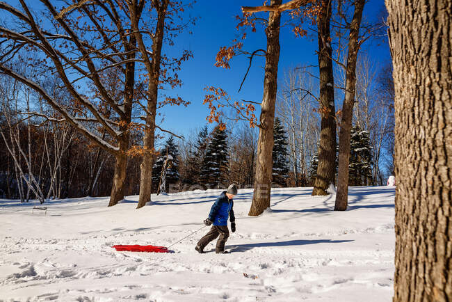 Boy pulling a sledge through the snow, USA — Stock Photo