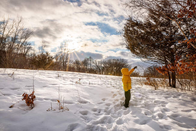 Boy standing in a snowy field reaching for a branch, USA — Stock Photo