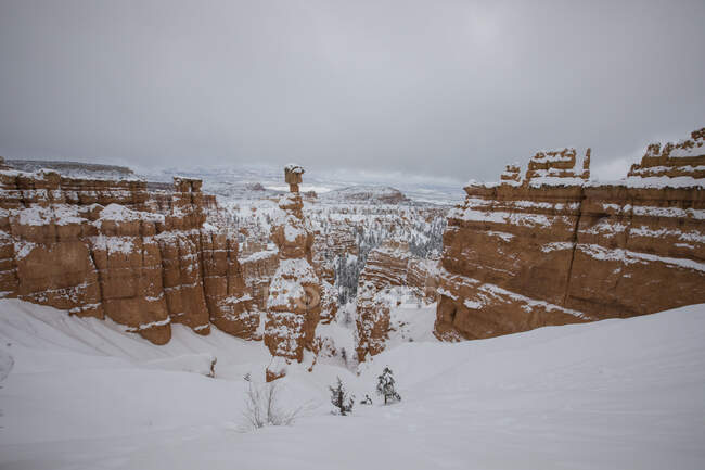 Snow covered canyon, Bryce Canyon National Park, Utah, USA — Stock Photo