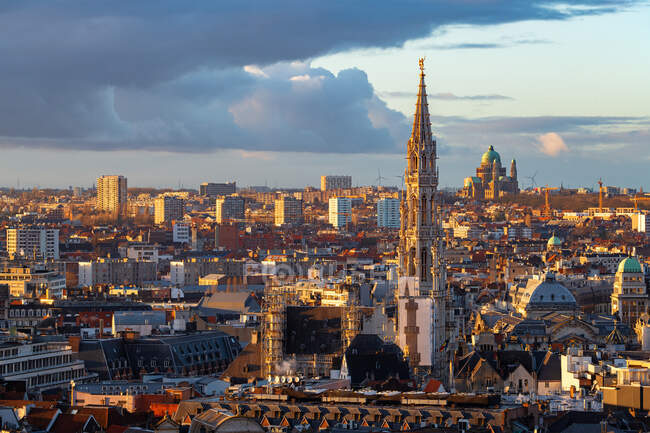 Феттель с башней ратуши на закате, Брюссель, Бельгия — стоковое фото