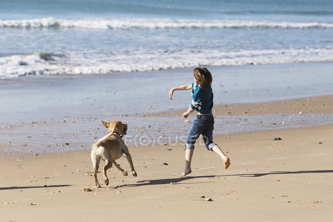Garçon jouant avec un chien sur la plage, Huelva, Andalousie, Espagne — Photo de stock