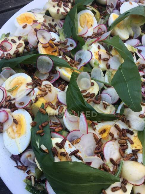 Salade d'œufs aux graines de tournesol et radis — Photo de stock