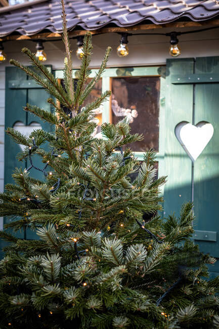 Großaufnahme eines Weihnachtsbaums vor einem Gebäude, Schweiz — Stockfoto