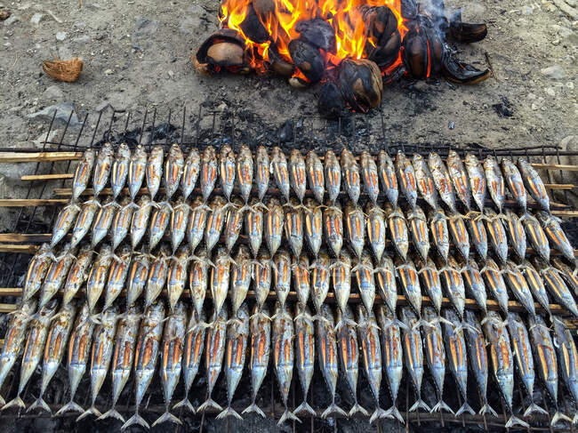 Fish being cooked on a barbecue, Indonesia — Stock Photo