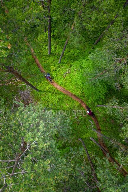 Vista aérea de un hombre y una mujer en bicicleta de montaña a través del bosque, Klagenfurt, Carintia, Austria - foto de stock