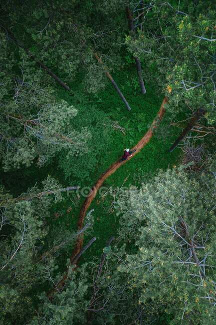 Vista aérea de um homem de bicicleta de montanha pela floresta, Klagenfurt, Caríntia, Áustria — Fotografia de Stock
