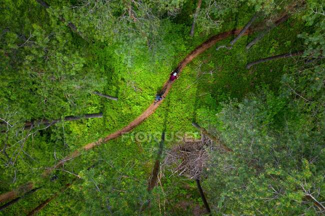 Vista aérea de un hombre y una mujer en bicicleta de montaña a través del bosque, Klagenfurt, Carintia, Austria - foto de stock
