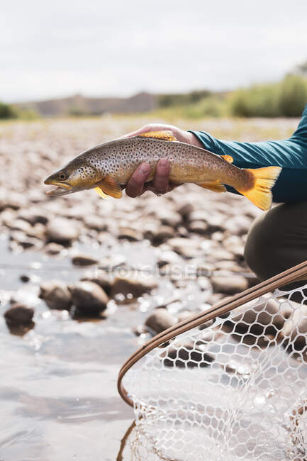 Hand holding a freshly caught trout, USA — Stock Photo
