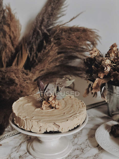 Torta al cioccolato decorata con glassa al burro al caffè — Foto stock